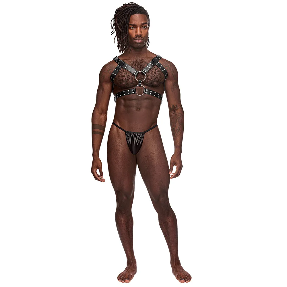 Male Power Gemini Reversible Faux Leather Chest Harness