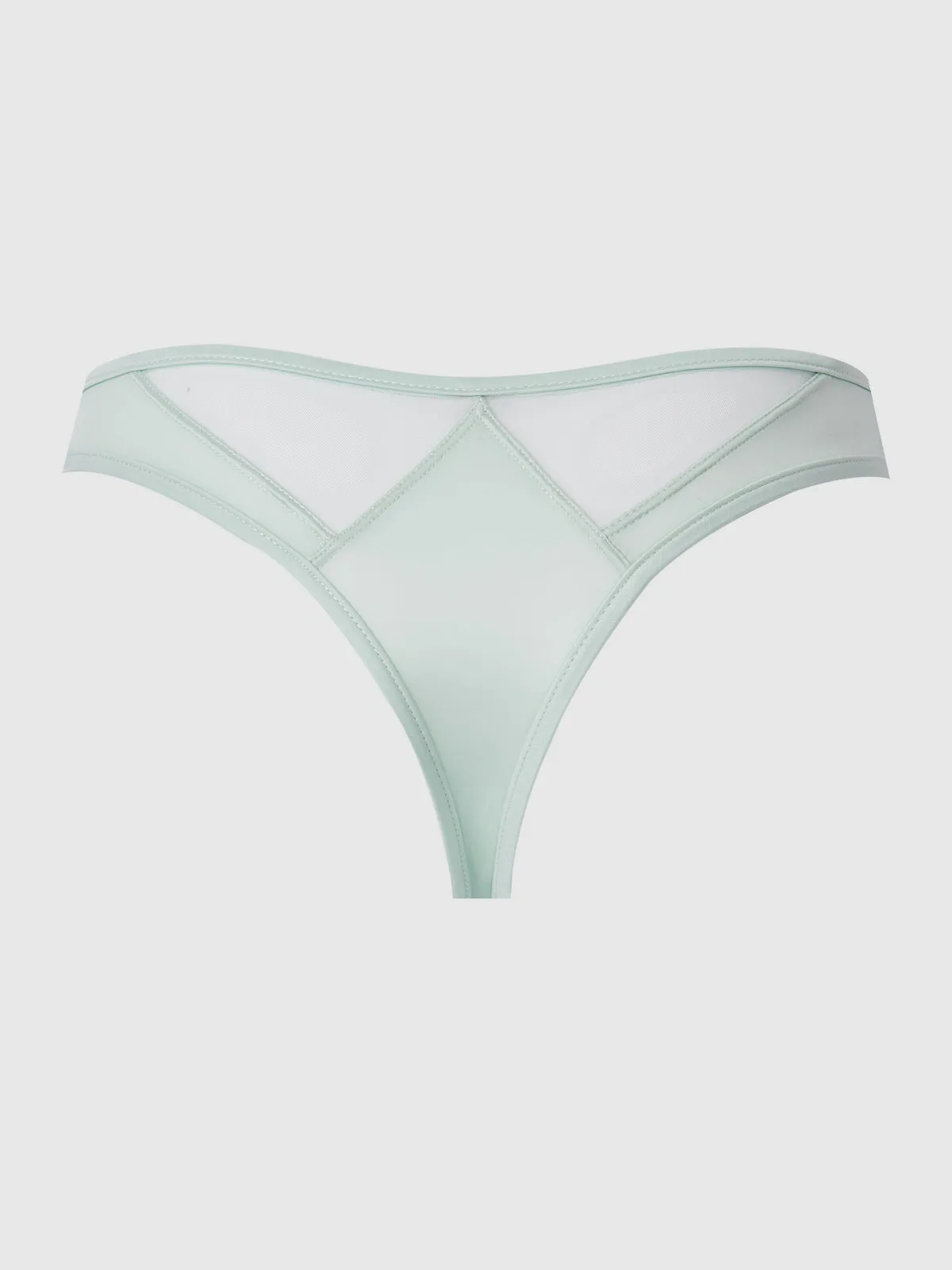 Neev Oil Slick & Mesh Tanga
