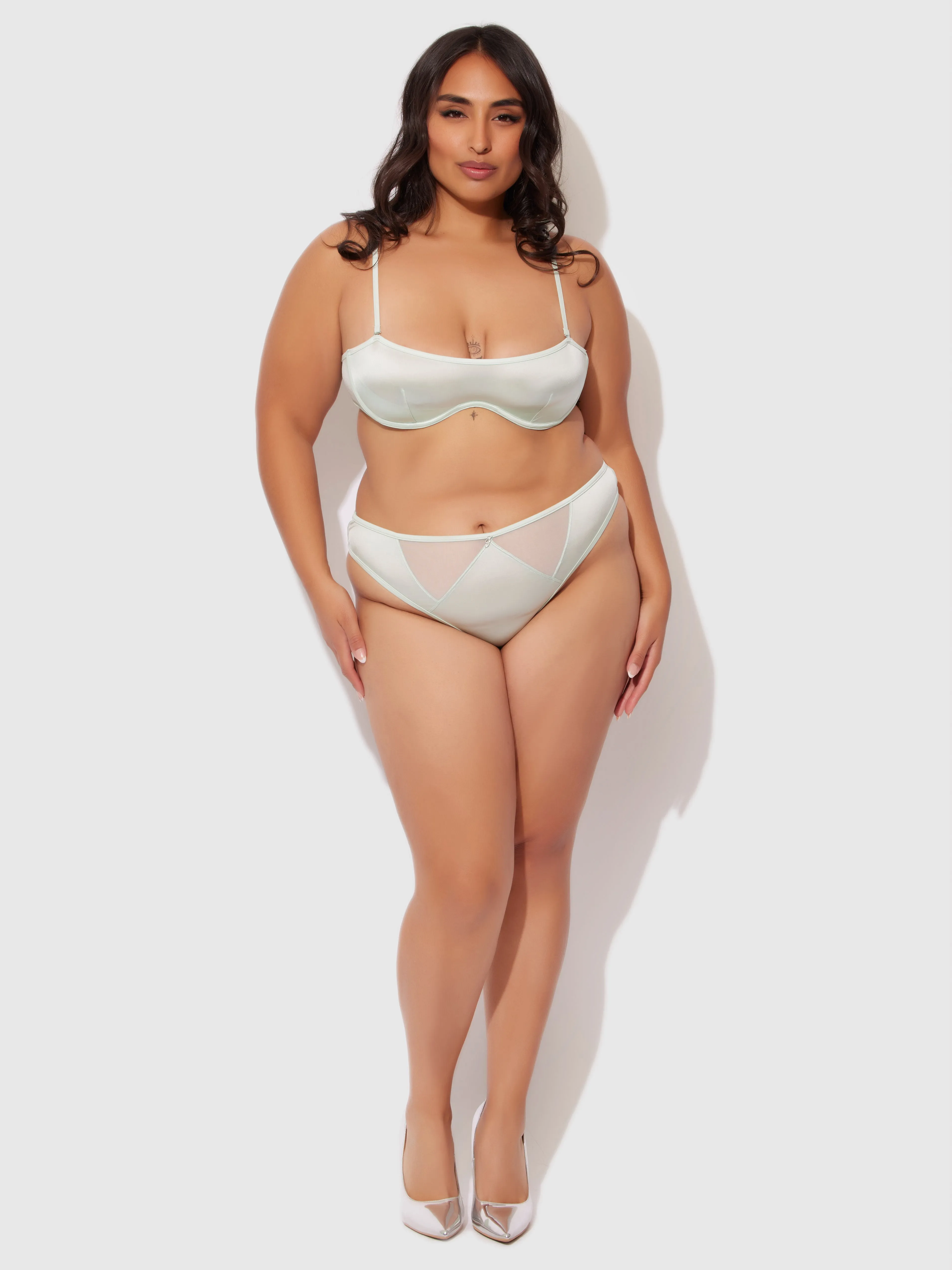 Neev Oil Slick & Mesh Tanga