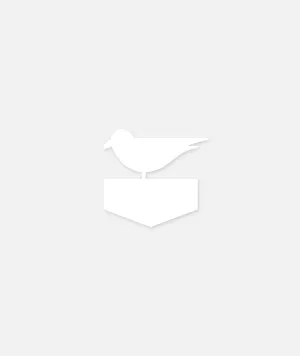 Otis Decal - White