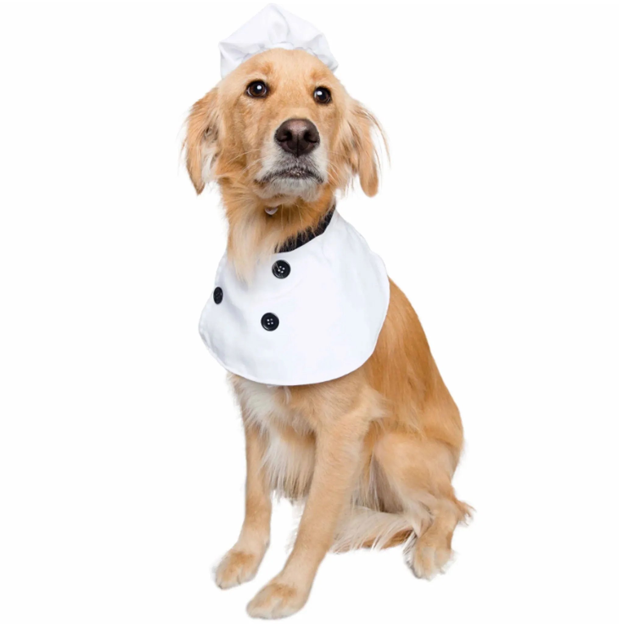 Pet Krewe Chef Costume