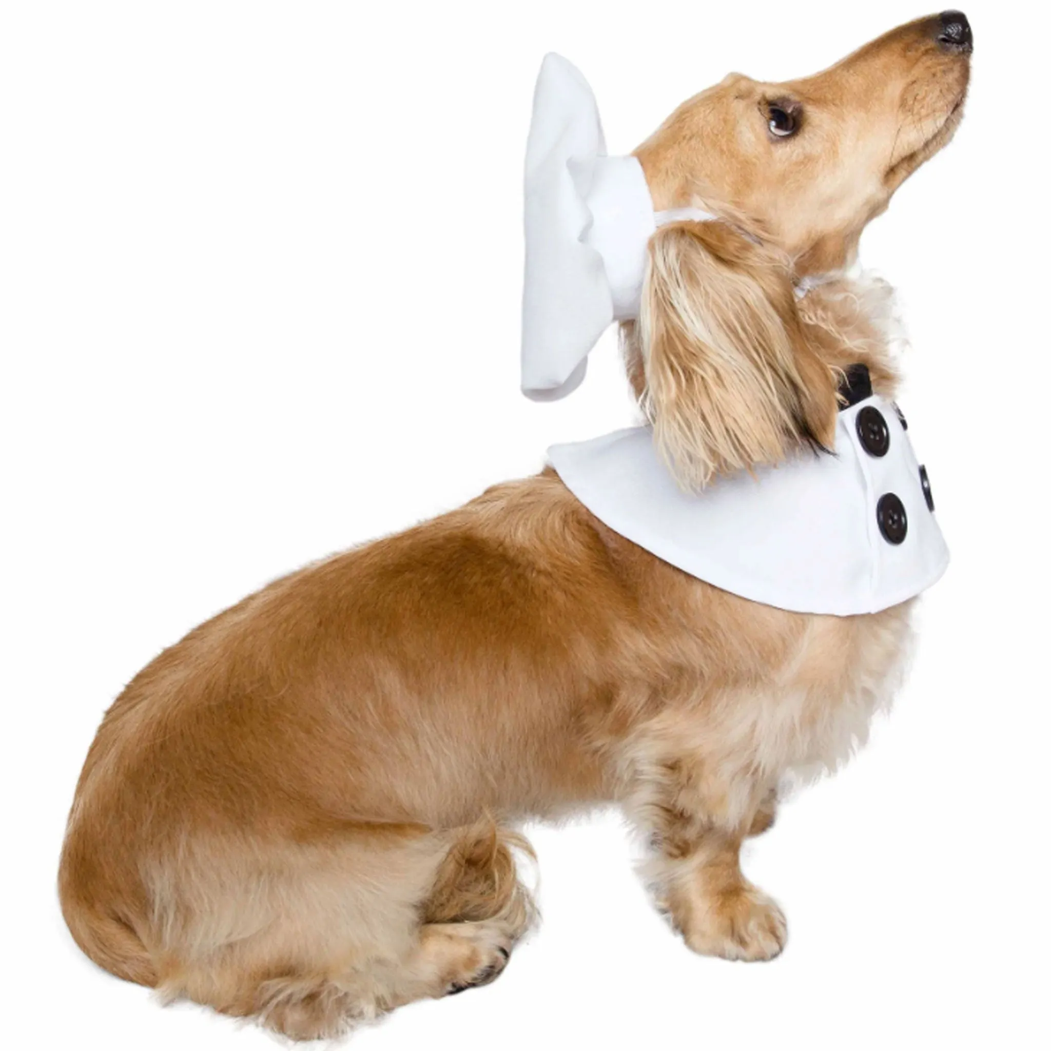 Pet Krewe Chef Costume