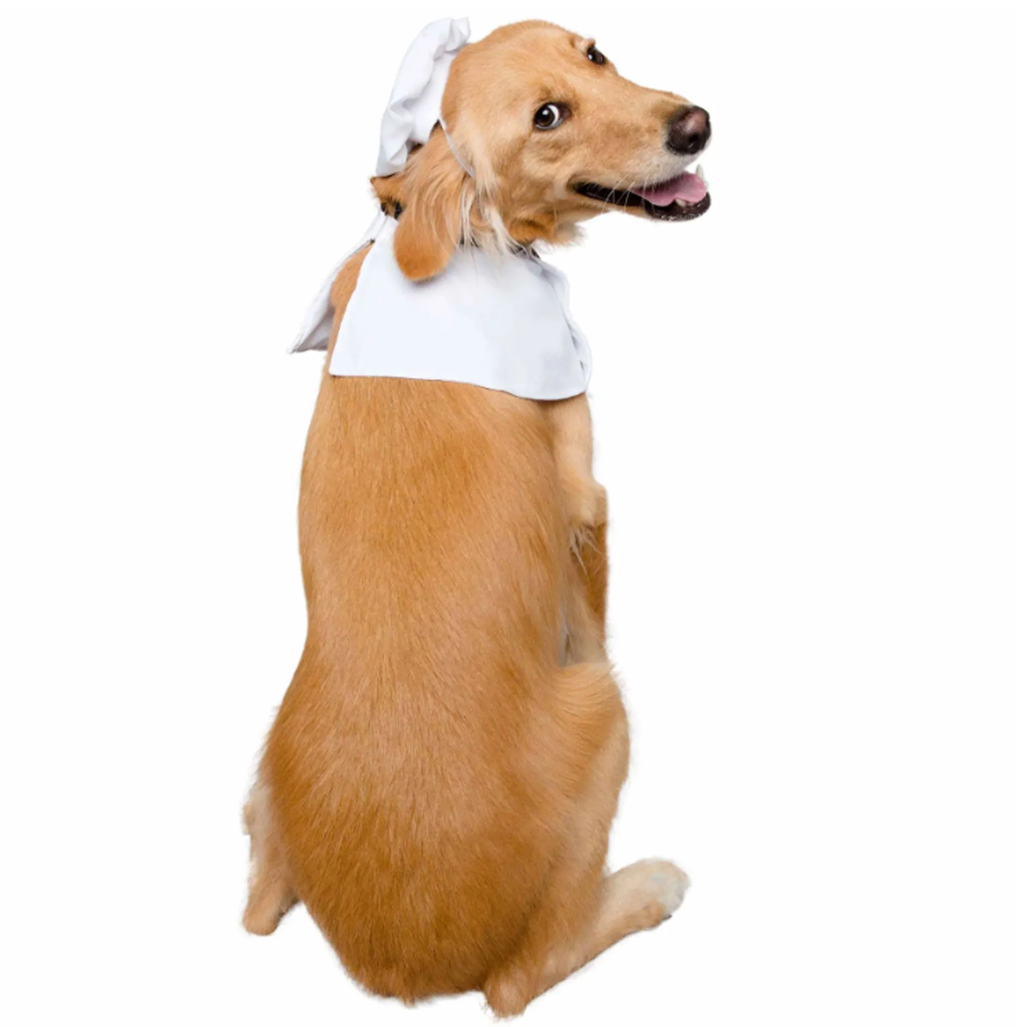 Pet Krewe Chef Costume