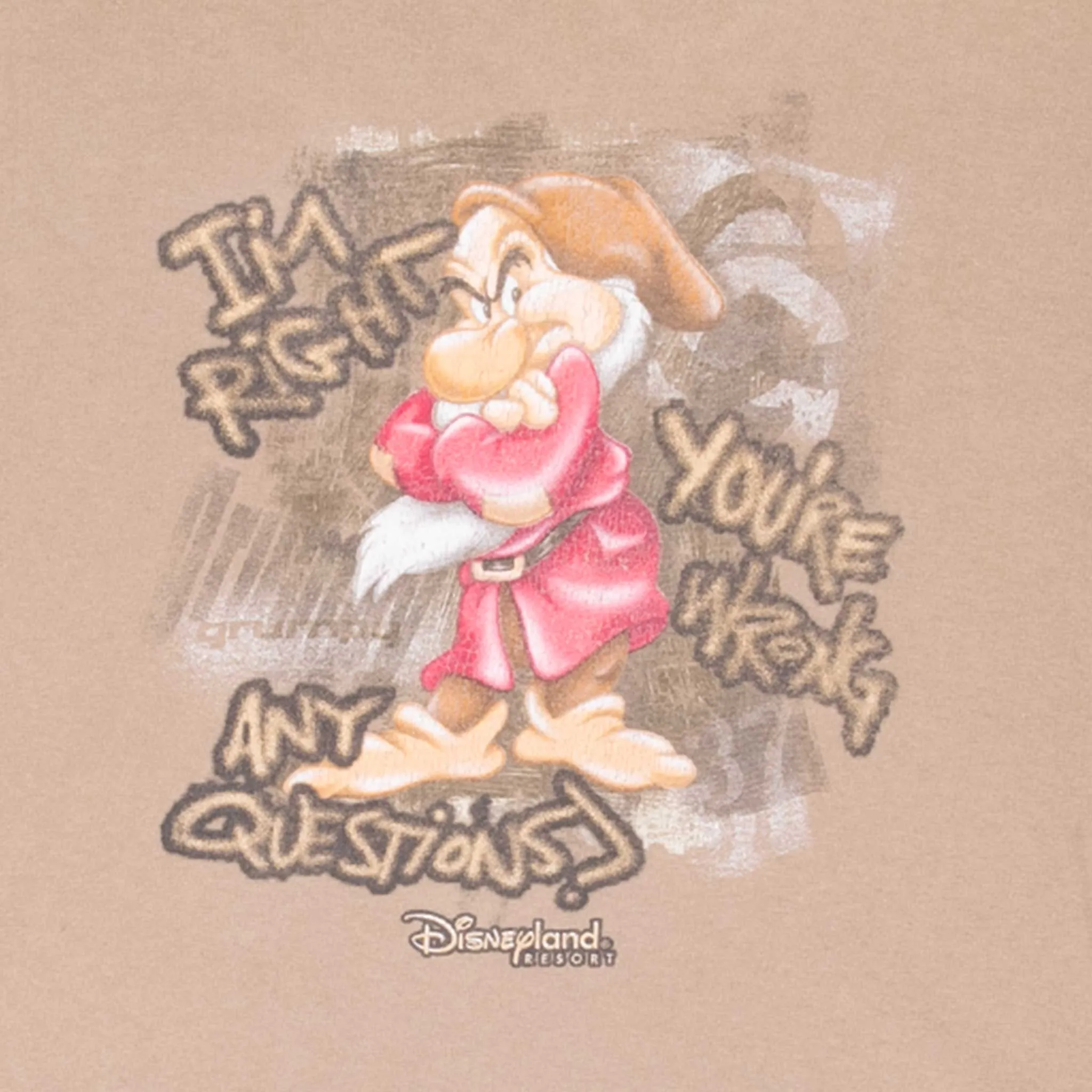 VINTAGE DISNEY SNOW WHITE GRUMPY DWARF TEE SHIRT 2000S 2XL
